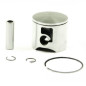 Piston kit Airsal T6 Ø50mm for engine AM345/6