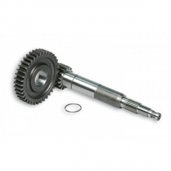 Rapport long Camino Malossi • Motorkit