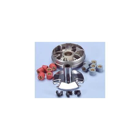 Variator Hi-Speed Polini Wallaroo / Fox