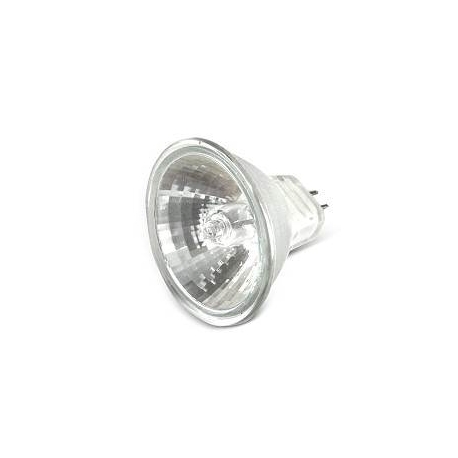 Bulb halogene 12v 20W 34mm﻿ for TNT and BCD headlight