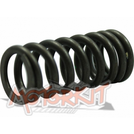 Valve spring Anima