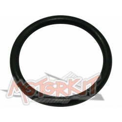 ignition plate O-ring for Daytona Anima • Motorkit