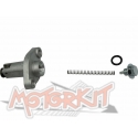 Tensionner cam chain for Daytona Anima | Motorkit