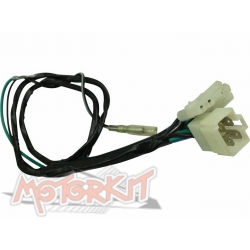 Harness Anima without light • Motorkit