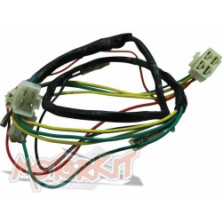 Cablage Anima avec phare • Motorkit