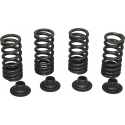 Jeu de ressorts de soupape Modernworks | Motorkit