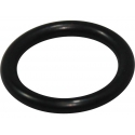 O-Ring,P14 Daytona 150 | Motorkit
