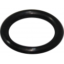 O-Ring,P9 Daytona 150 | Motorkit