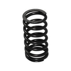 Valve Spring Inner Daytona 150 • Motorkit