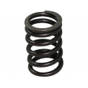 Valve Spring Outer Daytona 150 | Motorkit
