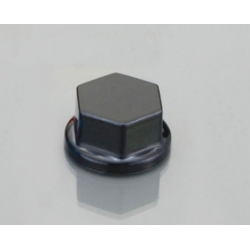 Bouten cover 10mm • Motorkit