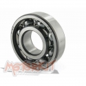 Bearing (6001)  Daytona 150E | Motorkit
