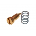 Screw and spring for air adjustement Polini CP 343.0005 | Motorkit