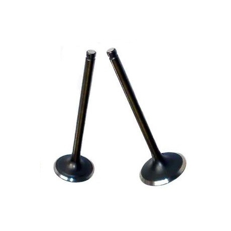 Soupapes pour moteurs Skyteam-Lifan 50cc