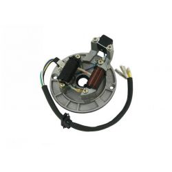 Stator ignition for Lifan 2 coils models • Motorkit