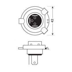 Ampoule  P43T 12V 18 leds • Motorkit