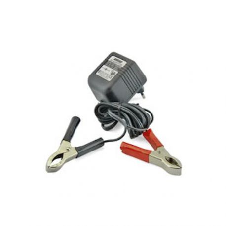 Chargeur de Batterie 12V