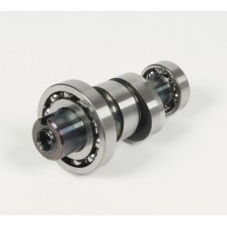 Nokkenas Takegawa S+R4V MSX 10/10  • Motorkit