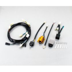 Wiring harness Kitaco for Honda NSF100 Rev con ignition • Motorkit