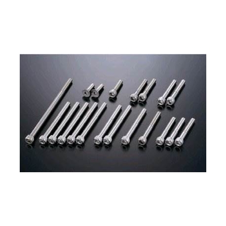 Screw set for 12v type engine