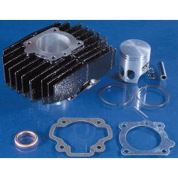 Kit cylindre Polini Camino 46 mm 119.0030 • Motorkit