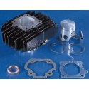 Kit cylindre Polini Camino 46 mm 119.0030 | Motorkit