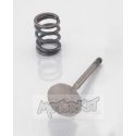 Kitaco inlet valve  + spring for USE PRO head | Motorkit