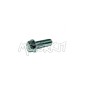 Bolt hexagonal M6*18