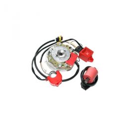 Allumage rotor interne HPI 2 courbes pour Puch Maxi , Puch Macho , Kreidler KS50 , Tomos A35 • Motorkit