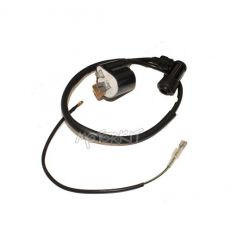 Bobine voor Skyteam Dax / Monkey / Pbr • Motorkit
