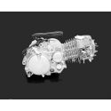 Moteur 150 YX CRF look | Motorkit