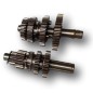 Gear Box Transmission Lifan 50cc / 70cc 