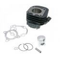 Top-Performance 50cc Cylinder - Neos - Jog - Ovetto - Mach-G - TNT Grido - Aprilia SR 9931520 | Motorkit