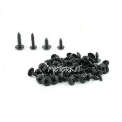 Kit de 50 vis carrosserie 5 et 4mm 12/20mm noires • Motorkit