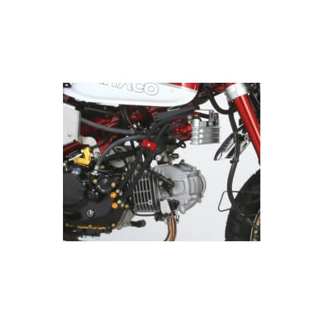 Radiateur Kitaco 3 étages Honda Monkey 125cc - reniflard carbone noir  