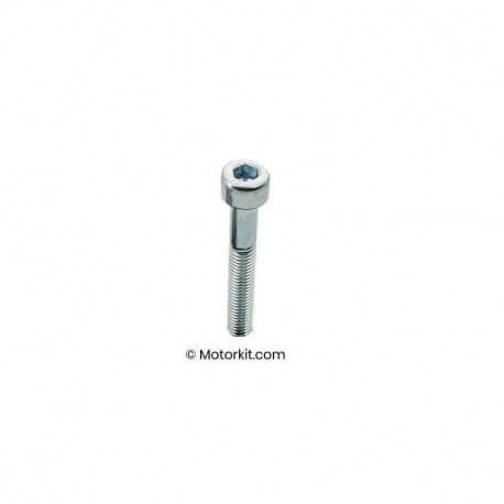  Vis allen M6 x 80mm - 1pc