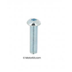 Bolt M8 x 30 - Raised head - allen • Motorkit