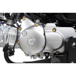 Set de vis de cache moteur gauche doré Takegawa pour Honda Monkey - MSX 125 - tête allen • Motorkit