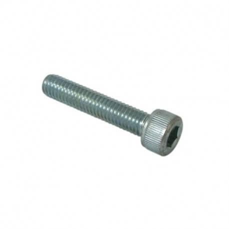 M5 x 10 screw - allen head - hexagon socket