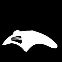 Sport front fender - white - universal for moped • Motorkit