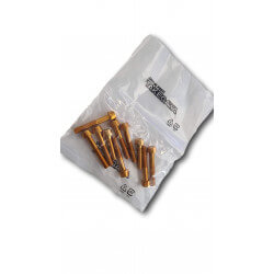 Set de vis de cache moteur gauche doré Takegawa pour Honda Monkey - MSX 125 - tête allen • Motorkit