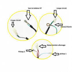 Allumage à mini rotor pour Lifan 150 "Dax Monkey" 12V 