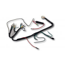 CDI adapter kabelboom en 12V regelaar voor Honda DAX - ST - CT 6 volt • Motorkit