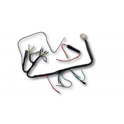 Cablage adaptateur CDI et régulateur 12V pour Honda DAX - ST - CT 6 volts • Motorkit