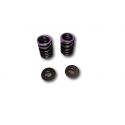 Yuminashi Honda MSX/Monkey/PCX 125cc progressive valve spring kit | Motorkit