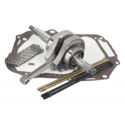 Vilebrequin Takegawa 54mm Dax Monkey 12V R-type • Motorkit