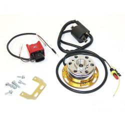 Allumage HPI 2Ten 1courbe pour Yamaha Chappy • Motorkit