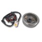 Stator et rotor d'allumage pour Zongshen 190 - 212