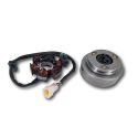 Stator et rotor d'allumage pour Zongshen 190 - 212 | Motorkit