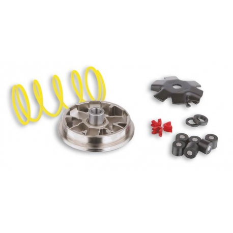 Variator Multivar Pgo Big Max